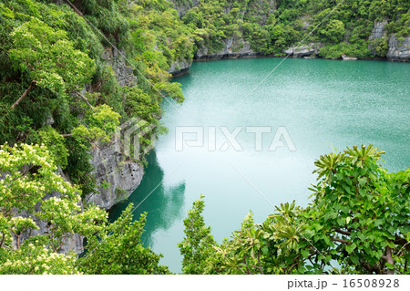 lagoon lagoon 16508928