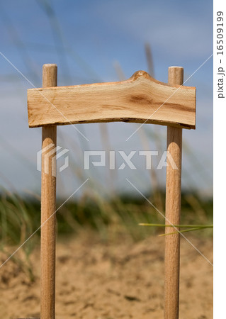 Wooden Pointer in Forest 16509199