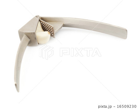 Garlic press isolated 16509230