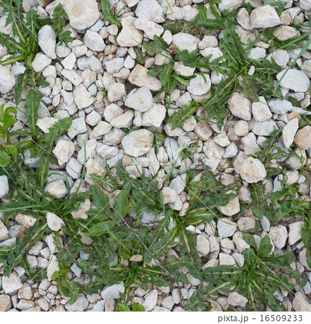 Stone pebble and grass 16509233