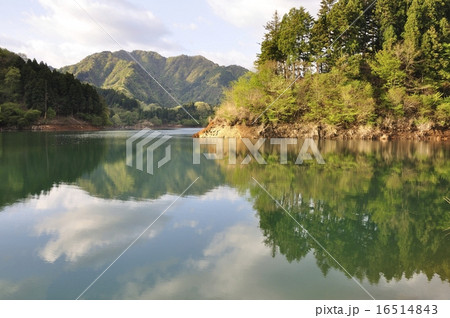静寂の湖 静寂の湖 16514843
