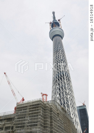 東京スカイツリー 16514918