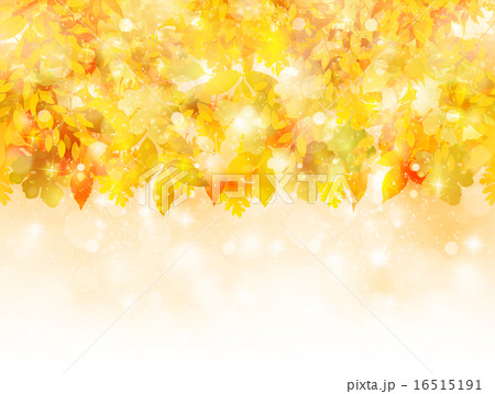 もみじ　紅葉　背景  16515191
