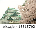 名古屋城と桜 16515792