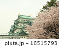 名古屋城と桜　コピースペース 16515793