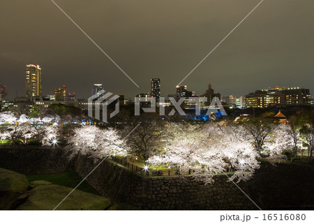 大阪城公園夜桜と大阪の夜景 大阪城公園夜桜と大阪の夜景 16516080
