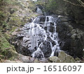 千寿院の滝平重盛の妻 16516097