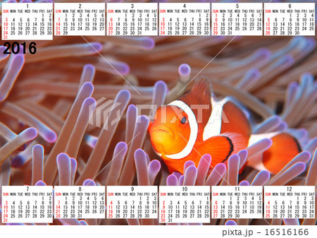 16年カレンダーのイラスト素材