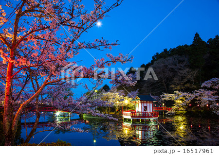 茂原公園夜景 16517961
