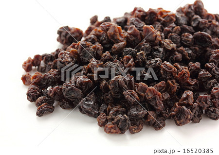 カレンズ 16520385