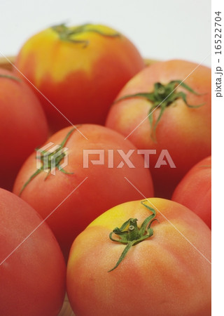 トマト 16522704