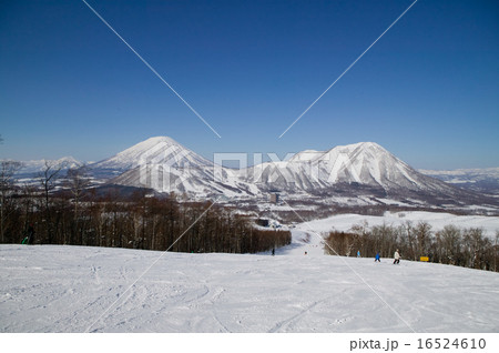 冬の羊蹄山 冬の羊蹄山 16524610