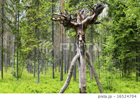 Wooden russian spirit of the wild forest 16524704