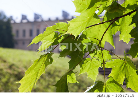 View of the building and the green hill through a View of the building and the green hill through a 16527519