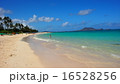 ラニカイビーチ 16528256