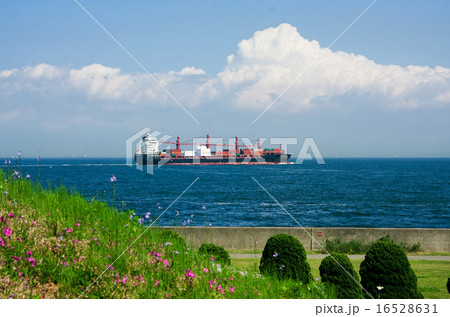 横浜港シンボルタワー　芝桜と貨物船 16528631