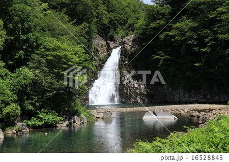 法体の滝7月 16528843