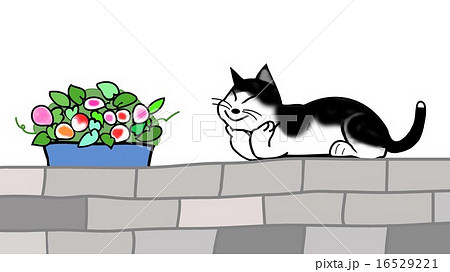 塀の上の白黒猫と鉢植えのイラスト素材