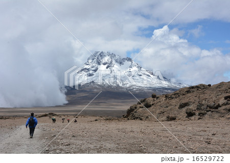 キリマンジャロ山頂 16529722