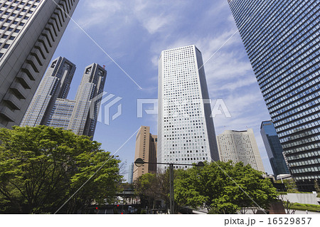 西新宿のビル群 16529857