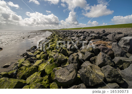 Waddendyke on the Dutch island of Terschelling 16530073
