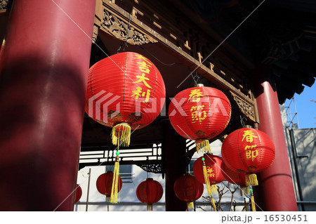 春節 山下町公園 春節 山下町公園 16530451