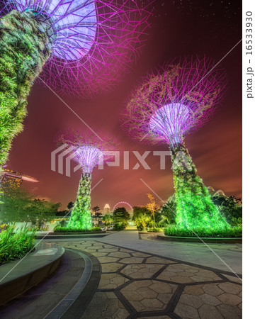 The Supertree at Gardens by the Bay, Singapore 16533930