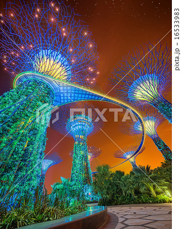 The Supertree at Gardens by the Bay, Singapore 16533983