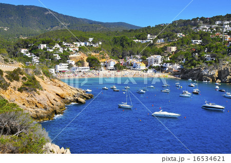 Cala Vedella beach in Ibiza Island, Spain 16534621