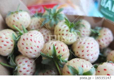 ベルギー産、白いちご white strawberry 16535147