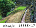 田んぼ 水路 田んぼ 水路 16535417