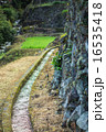 田んぼ 水路 田んぼ 水路 16535418