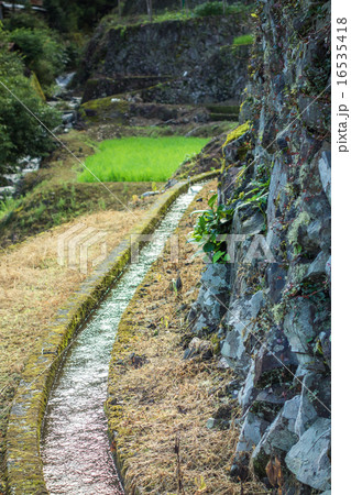 田んぼ　水路 16535418