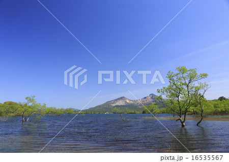 磐梯山 磐梯山 16535567