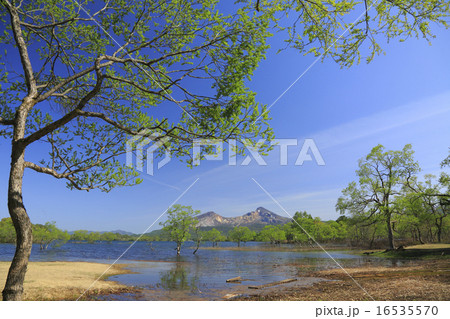 磐梯山 磐梯山 16535570