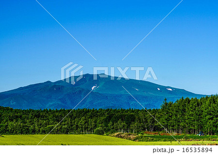 夏の海別岳　（斜里町） 16535894