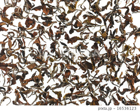 烏龍茶 烏龍茶 16536123