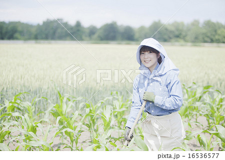 農業女子 農業女子 16536577