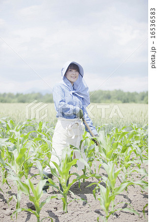 農業女子 農業女子 16536583