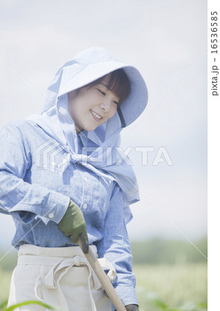 農業女子 16536585