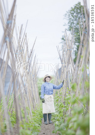 農業女子 農業女子 16536591