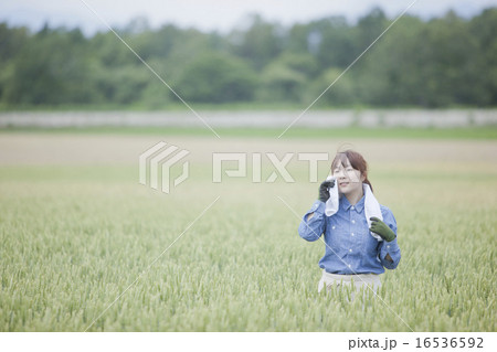 農業女子 農業女子 16536592