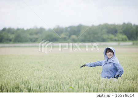 農業女子 16536614