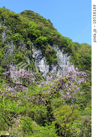 白滝自然公園 16538189