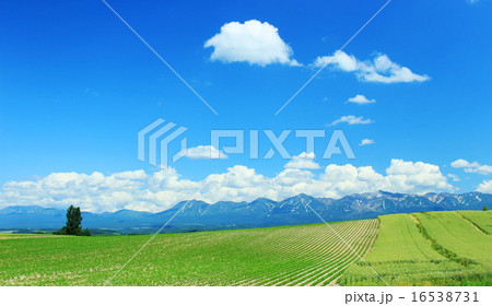 大雪・十勝岳連峰が見える田園 16538731