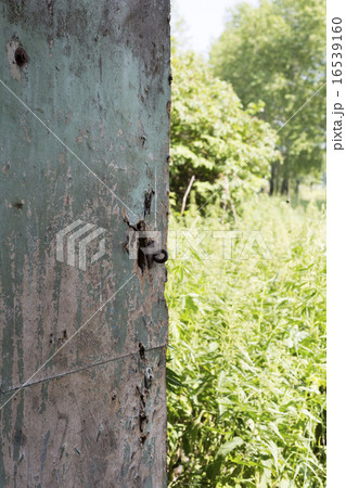 Slightly open door of the barn into abandoned yard Slightly open door of the barn into abandoned yard 16539160
