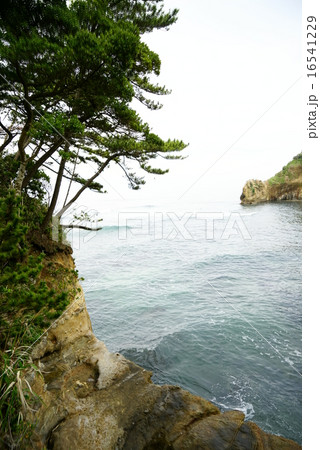 碁石ケ浦海岸 碁石ケ浦海岸 16541229