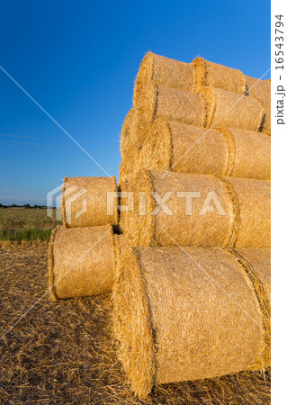 Piled hay bales on a field against blue sky 16543794
