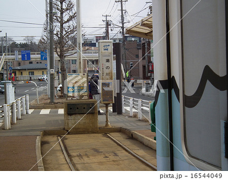 函館　市電 16544049