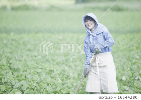 農業女子 16544280